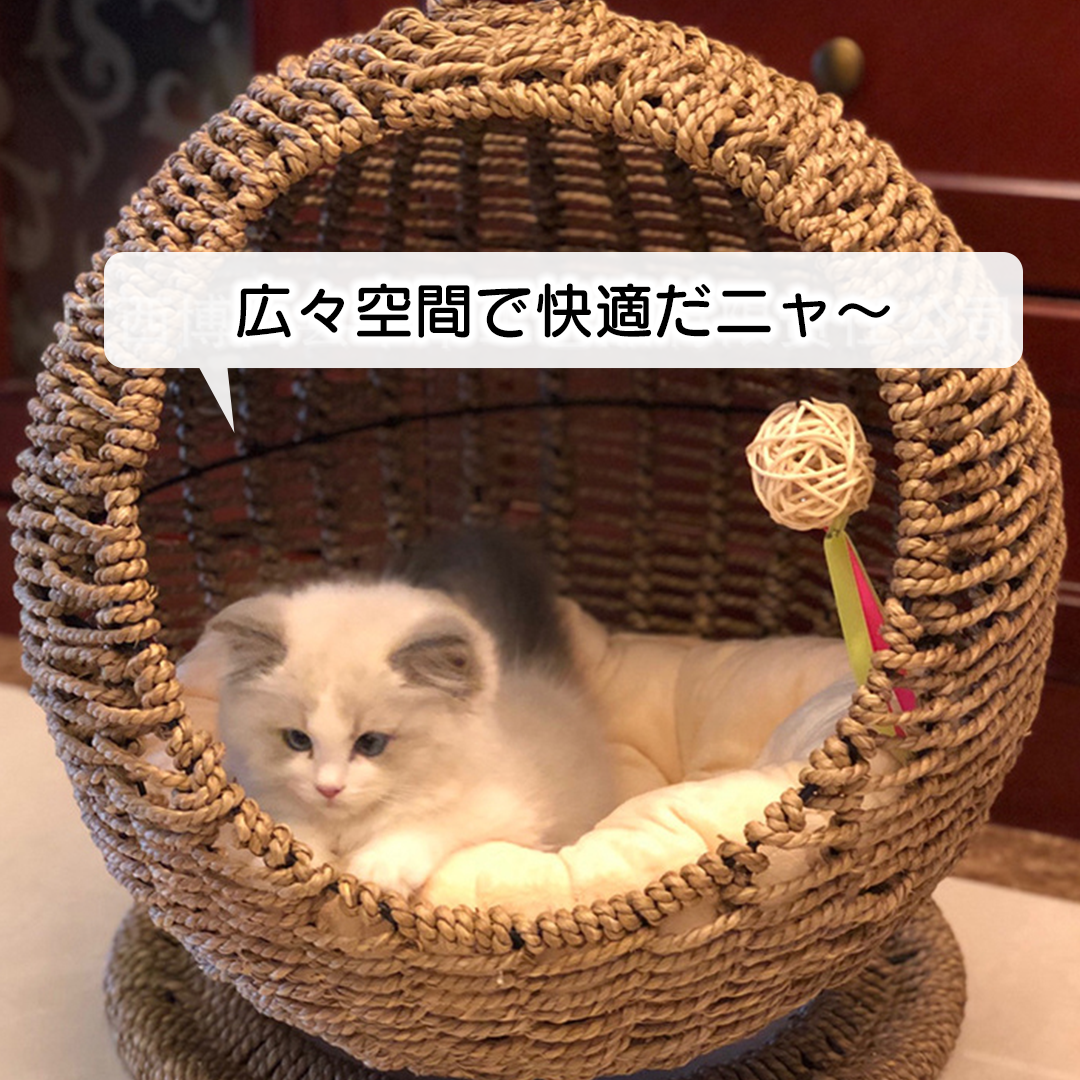 ラタンのゆりかご 2244