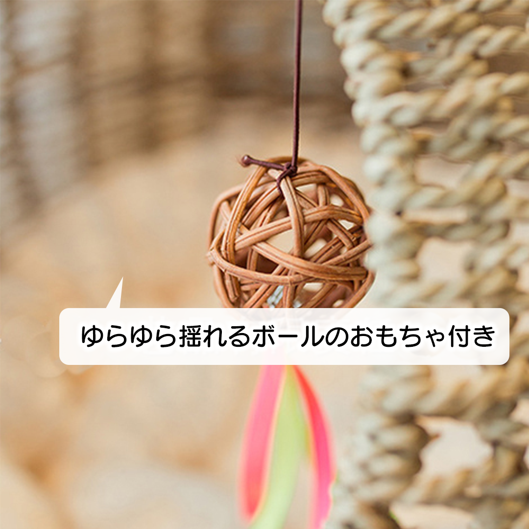 ラタンのゆりかご 2244