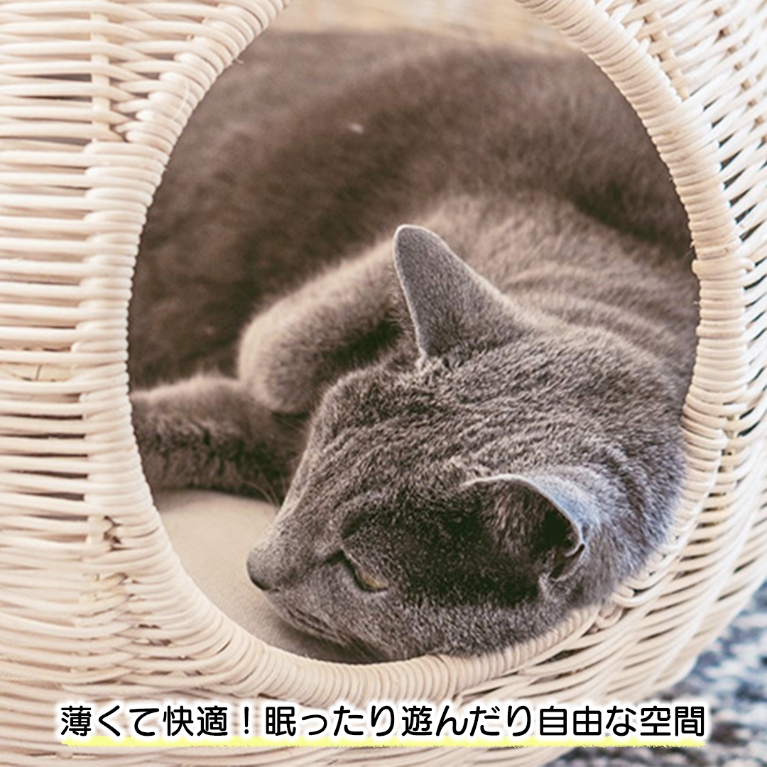 ティアードロップラタンベッド 2245