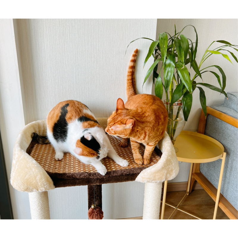 ふたつの台座のツインキャットタワー 2503