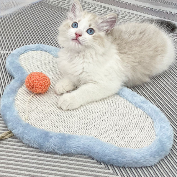いつでもどこでも猫ちゃん爪とぎ 2364