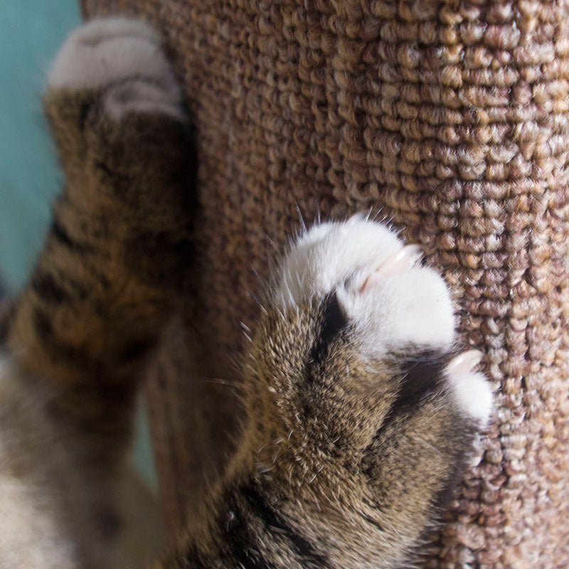 縦型爪とぎボード 2267