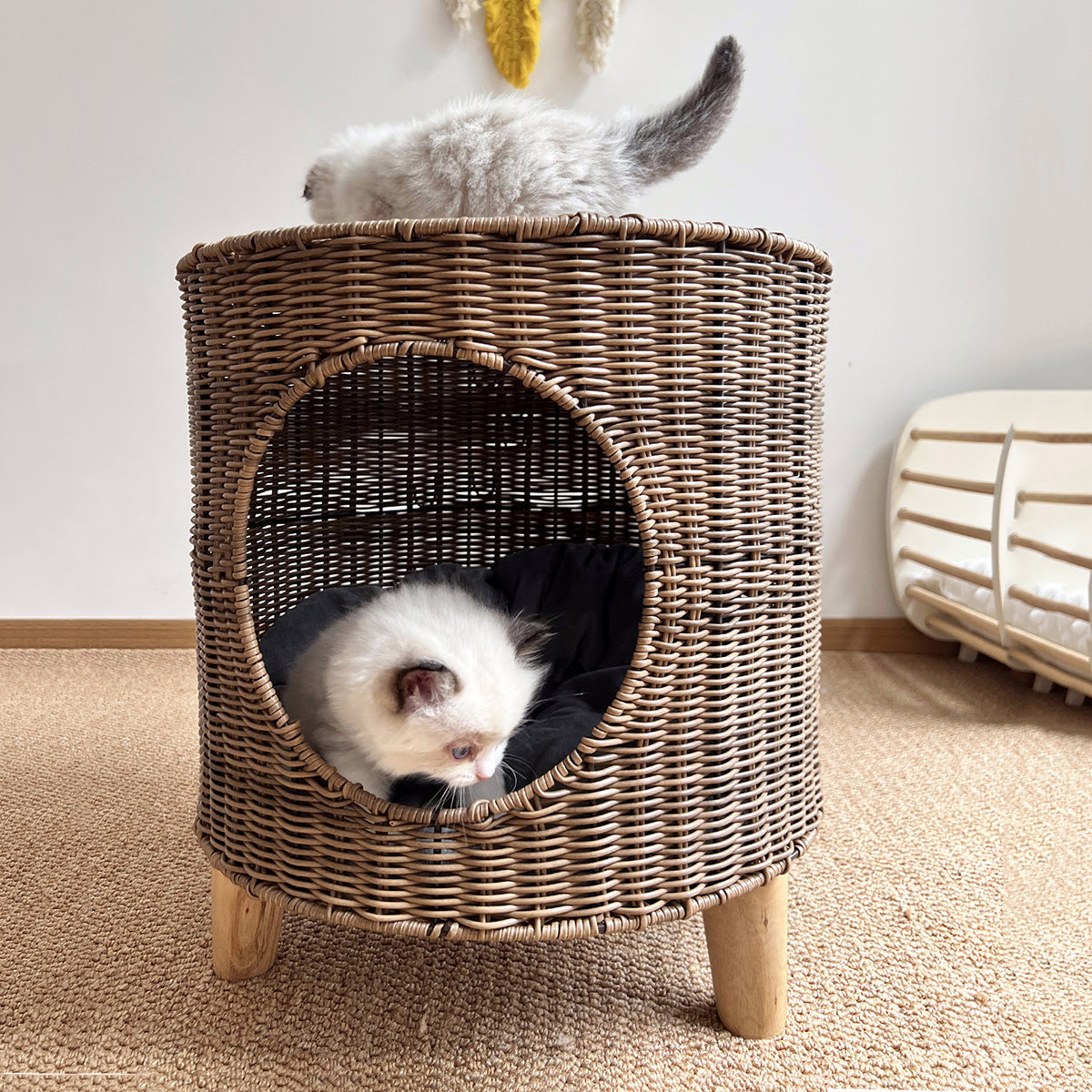 ラタン×ウッドの手織りキャットハウス2447
