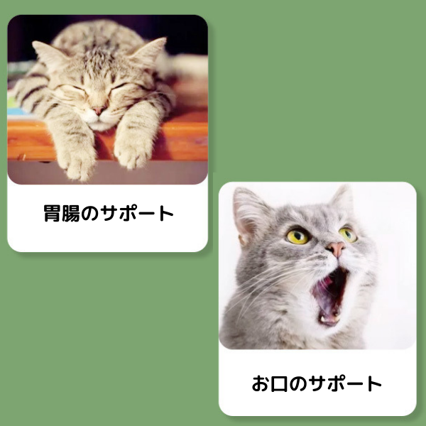 アボカドキャットニップボール2386