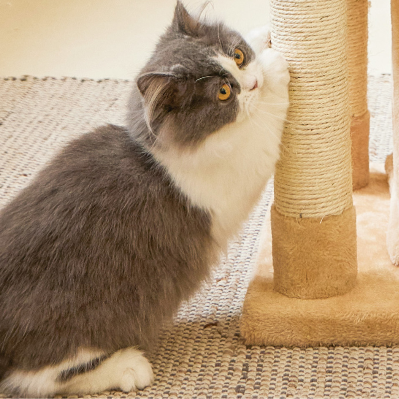 高すぎないステップのベルベッドキャットタワー 2649