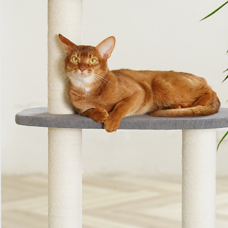 オーガニックデザインパステルキャットタワー 2498