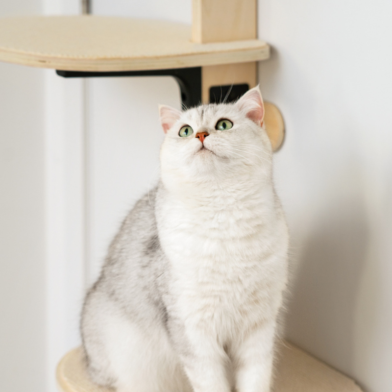 壁取付けキャットタワー 2400