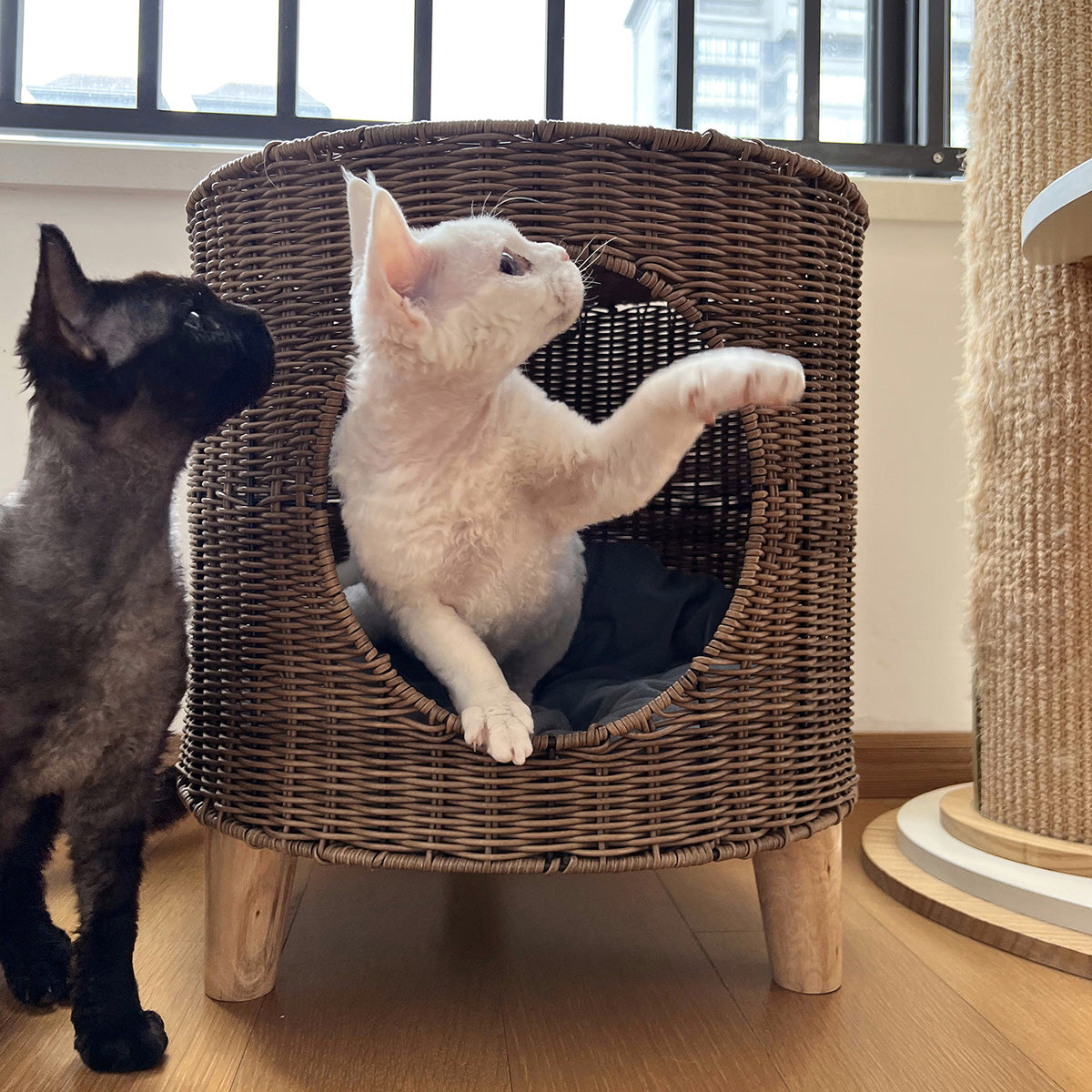 ラタン×ウッドの手織りキャットハウス2447