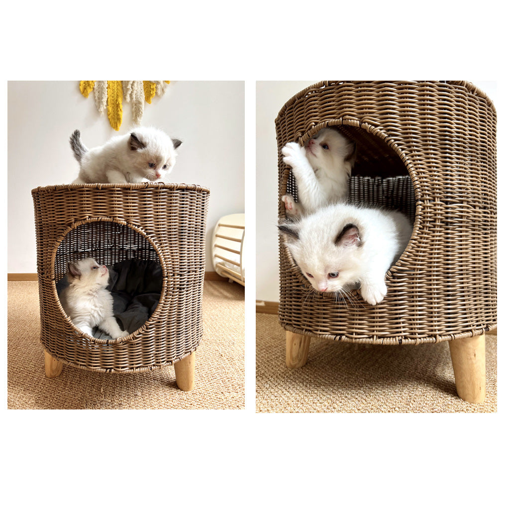 ラタン×ウッドの手織りキャットハウス2447