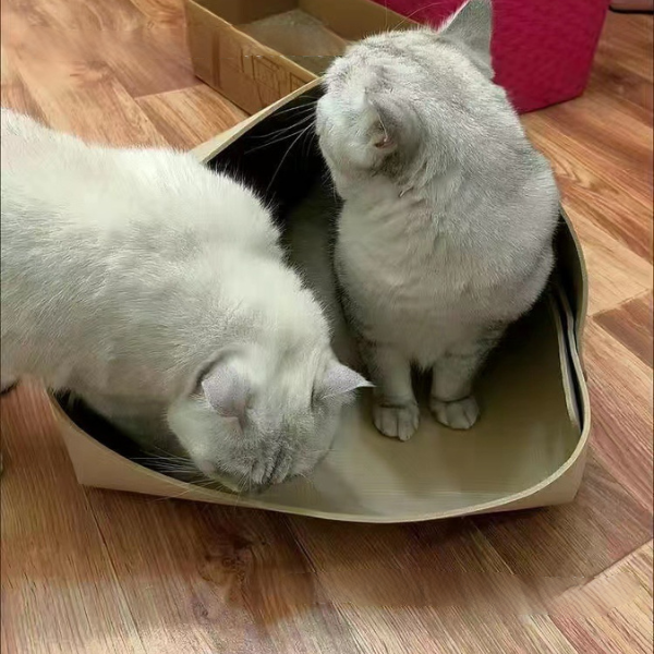 羊毛あったか猫ちゃんのフェルトハウス 2370