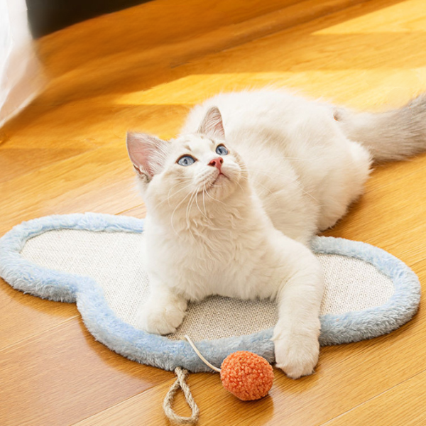 いつでもどこでも猫ちゃん爪とぎ 2364