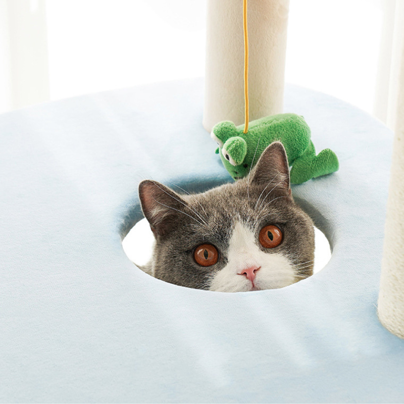わくわくファームキャットタワー 2468