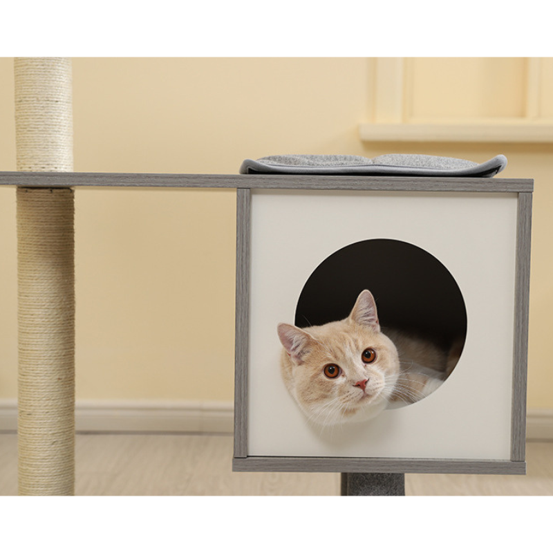 ボックス型ハウス付きキャットタワー 2575