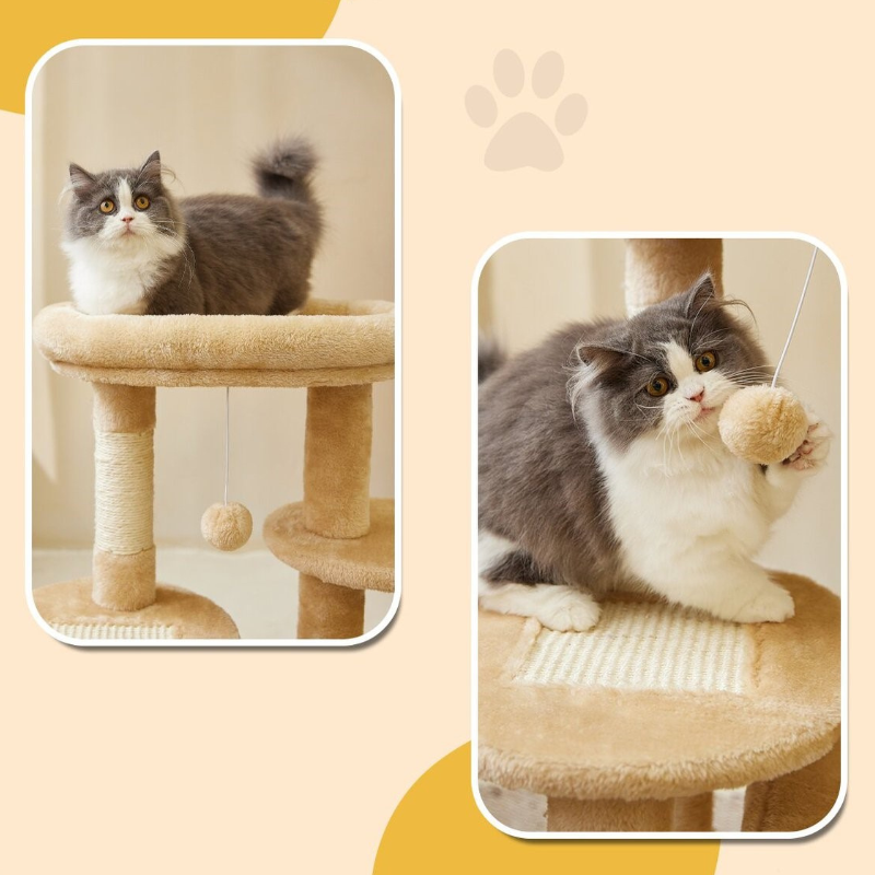 高すぎないステップのベルベッドキャットタワー 2649