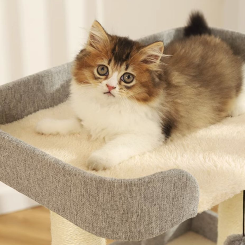 三階建ての段々キャットタワー 2525