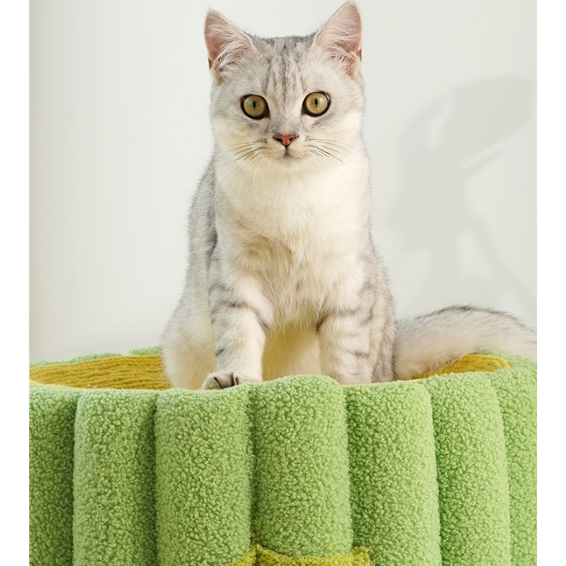ねこぽぽサボテンベッド 2479
