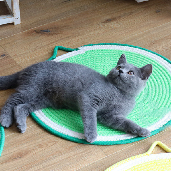 猫ちゃんの爪とぎマット 2368