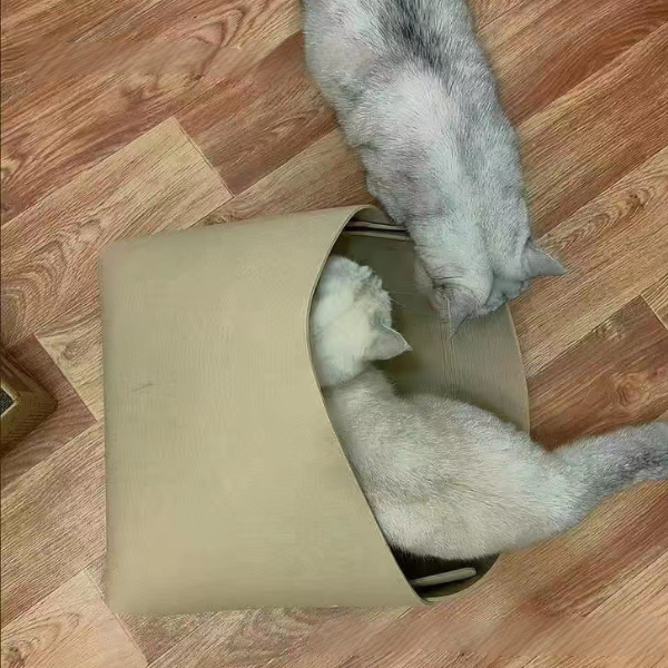 羊毛あったか猫ちゃんのフェルトハウス 2370