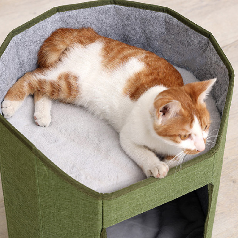 屋根でも遊べる猫ハウス リバーシブルマット付き 2615