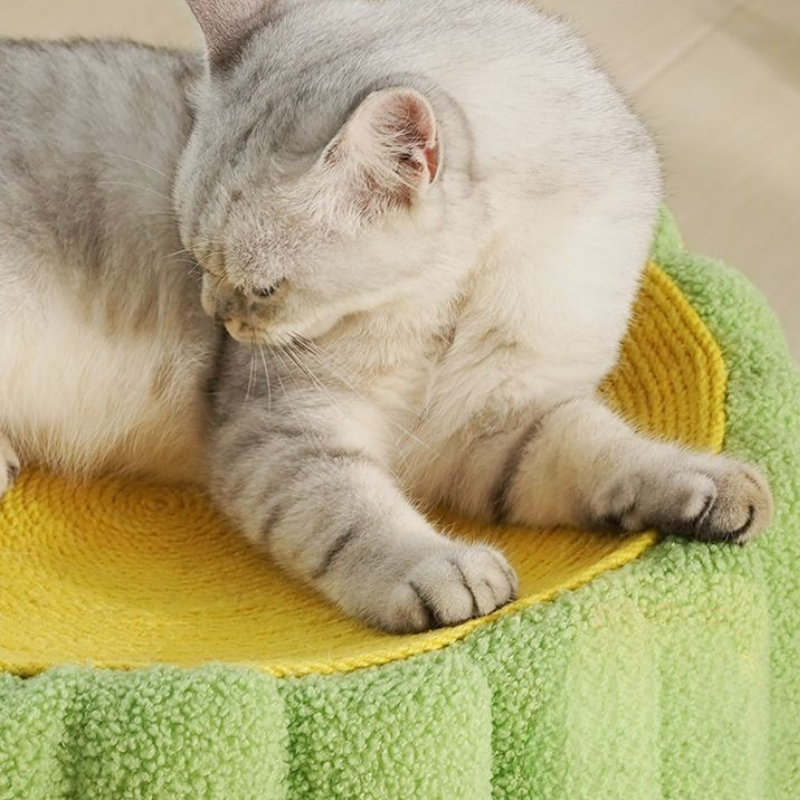 ねこぽぽサボテンベッド 2479