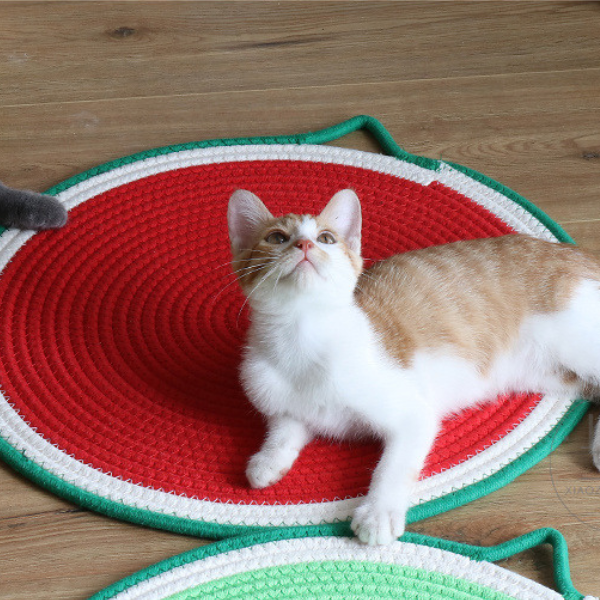 猫ちゃんの爪とぎマット 2368