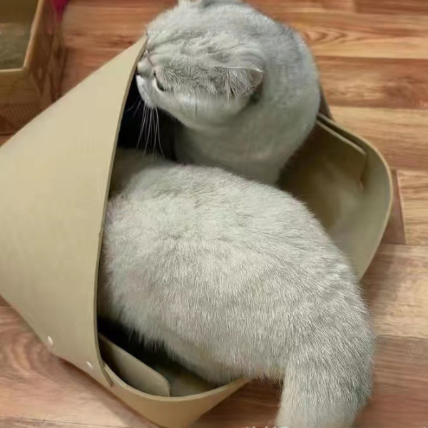 羊毛あったか猫ちゃんのフェルトハウス 2370