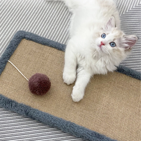いつでもどこでも猫ちゃん爪とぎ 2364