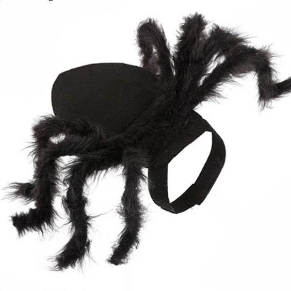 猫ちゃんスパイダー 2309