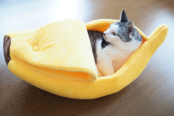 バナナ(クッション)猫ベッド|ペットベッド 2034