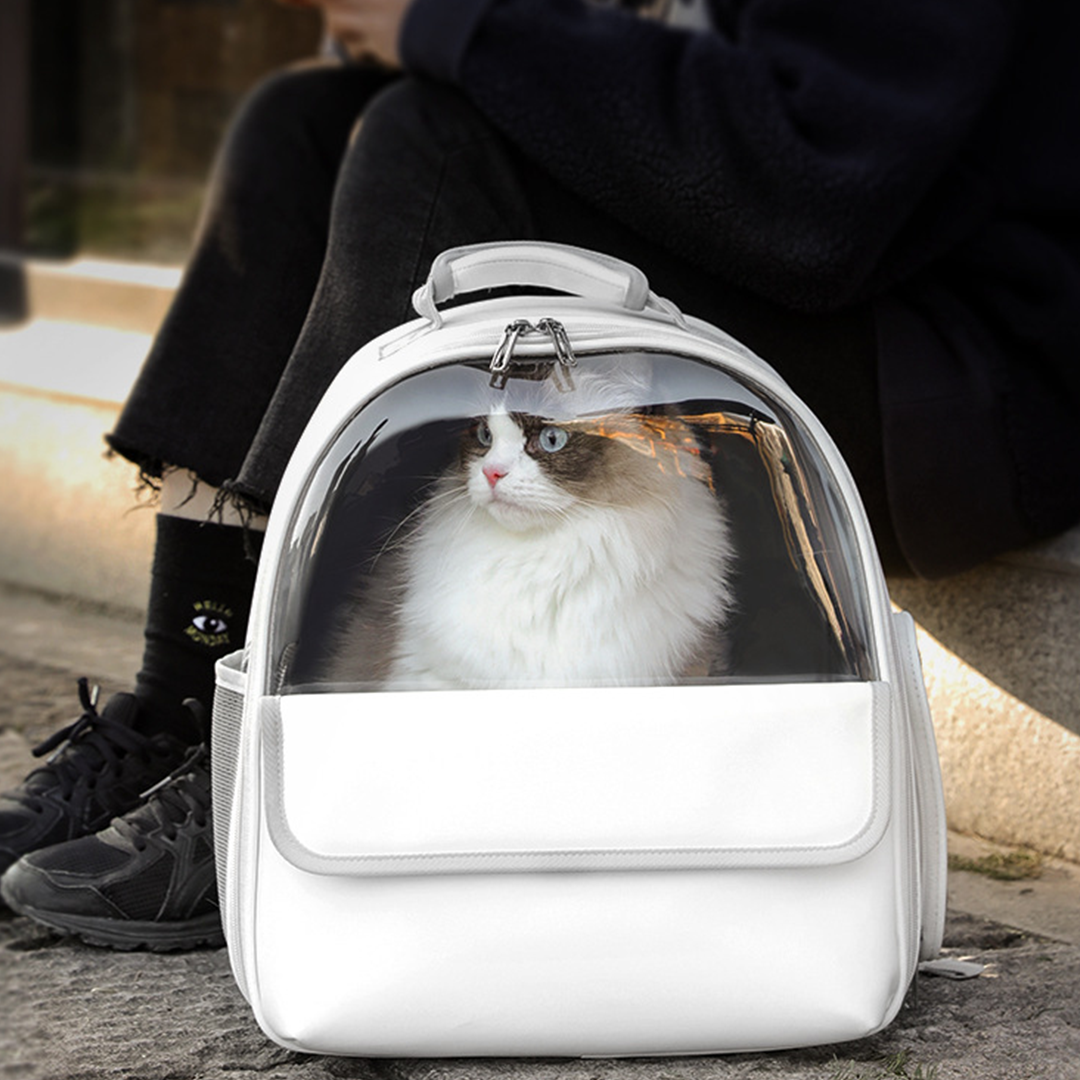 猫ちゃんパステルキャリーリュック 2078