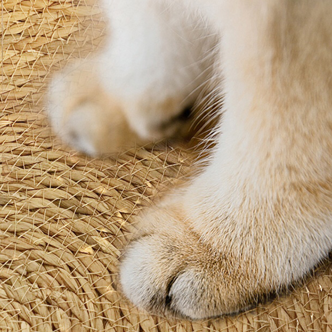 猫耳ラタンベッド 2094