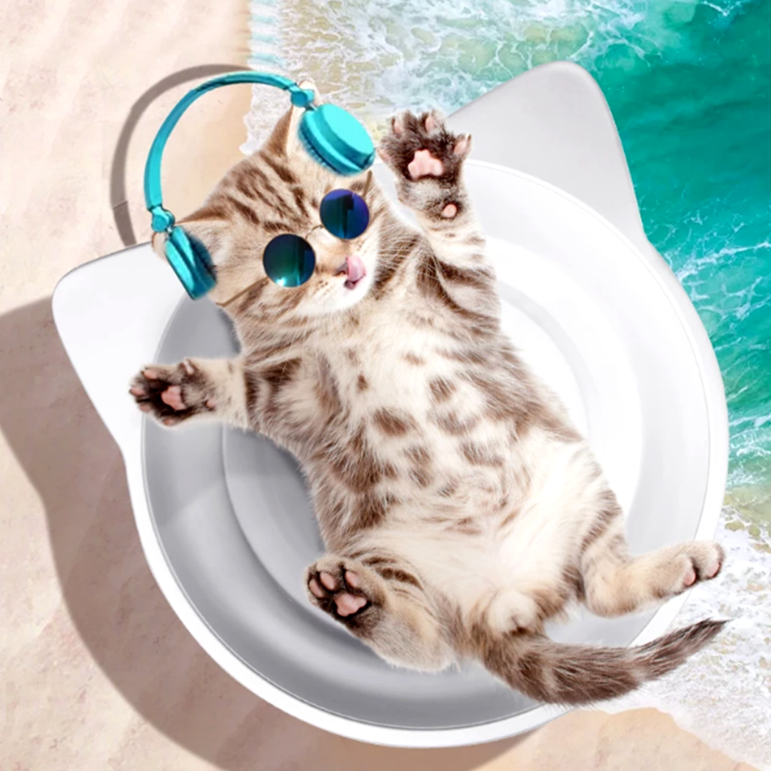 ひんやり猫鍋 2021