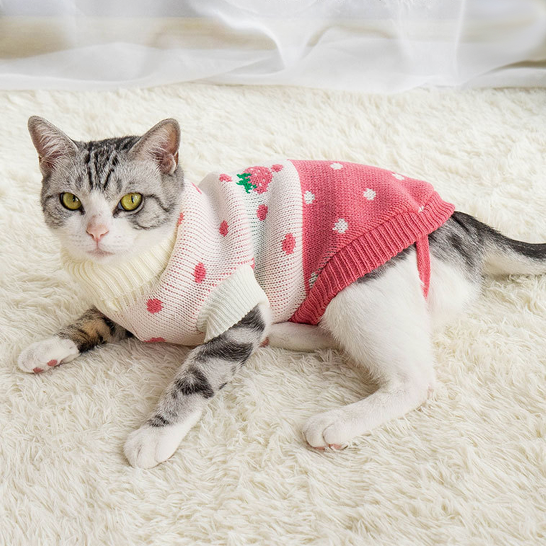 いちごの春ニット 2113