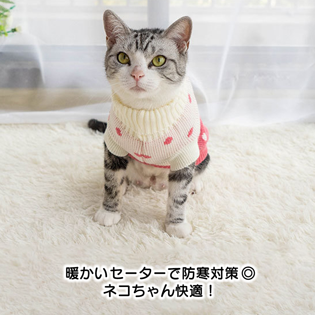 いちごの春ニット 2113