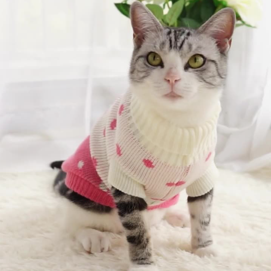 いちごの春ニット 2113