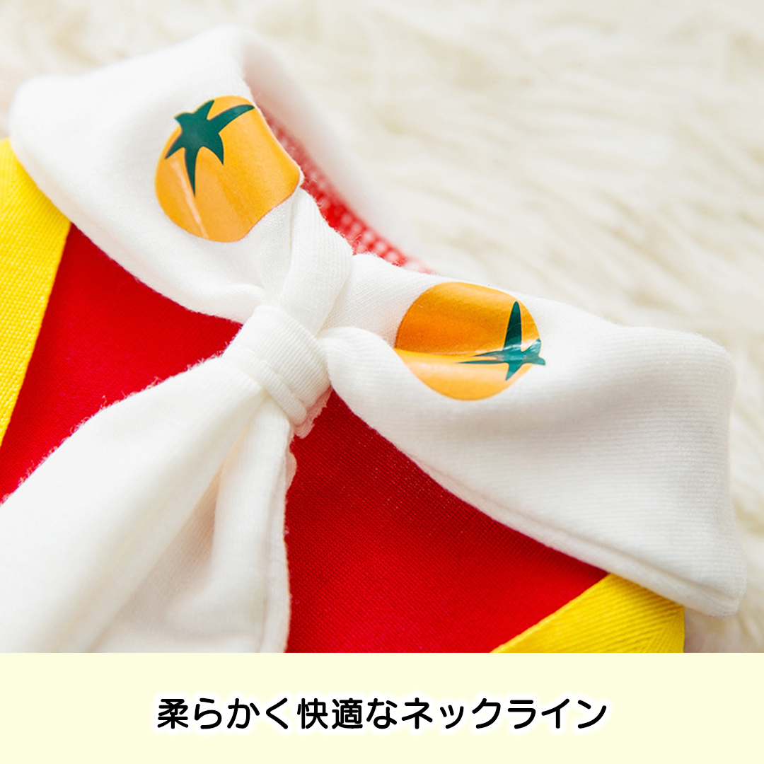 おでかけピクニックトレーナー 2119