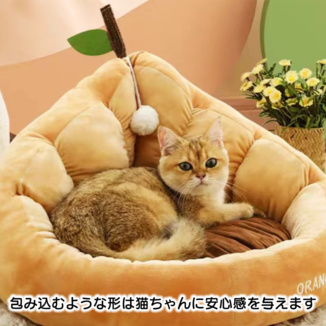 アボカドベッド 2150