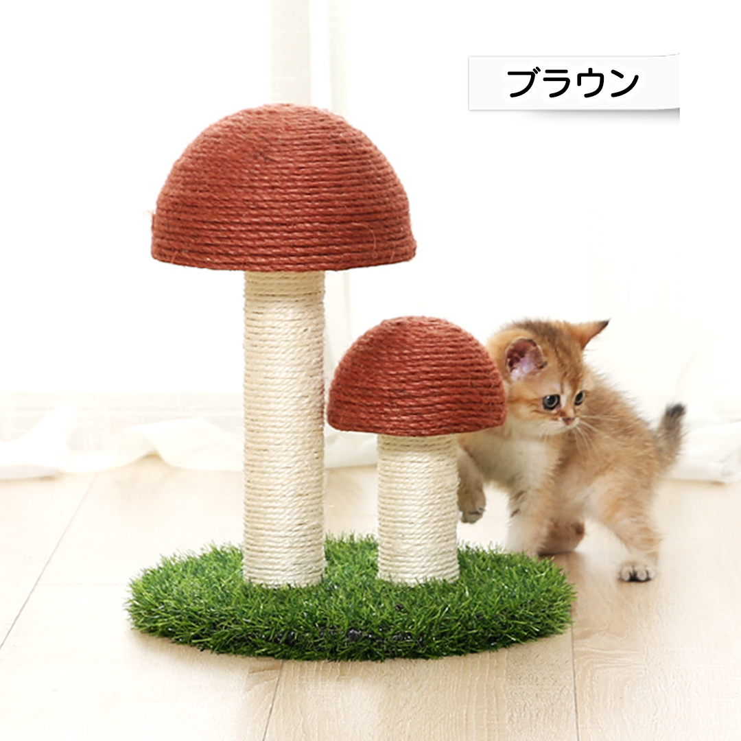 キノコの森爪とぎ 2152