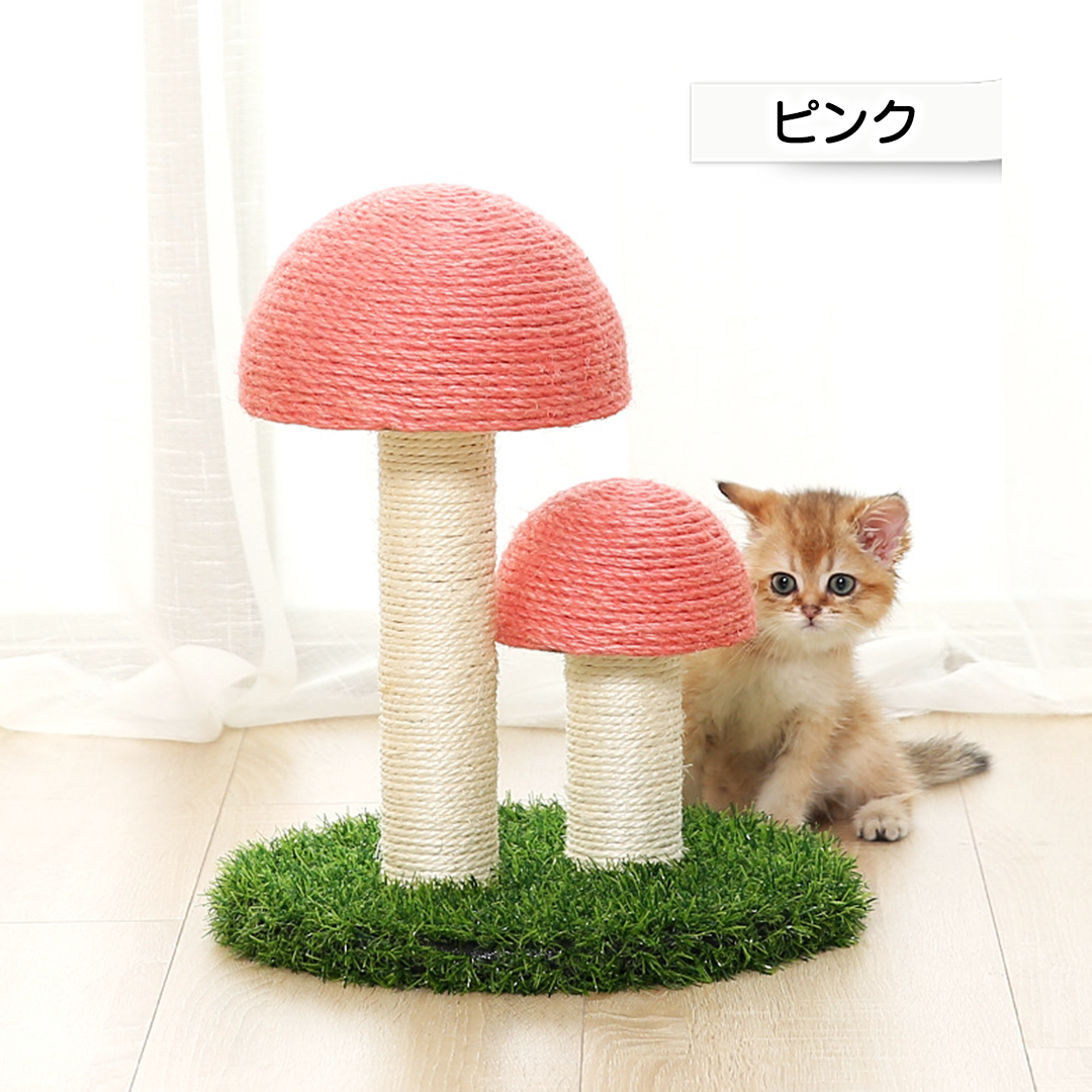 キノコの森爪とぎ 2152