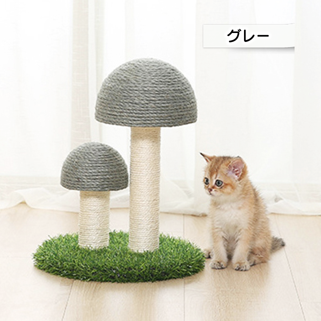 キノコの森爪とぎ 2152
