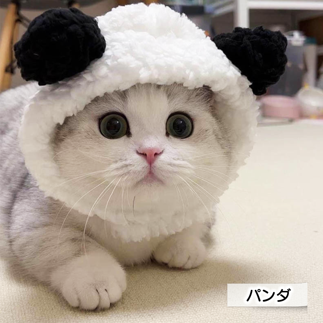 クマさんのかぶりもの 2155