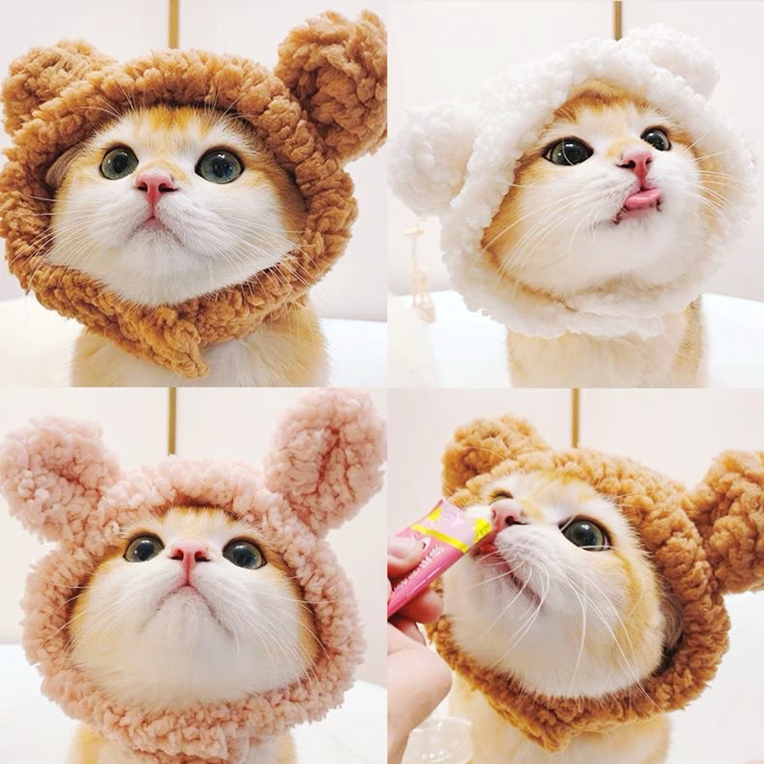 クマさんのかぶりもの 2155