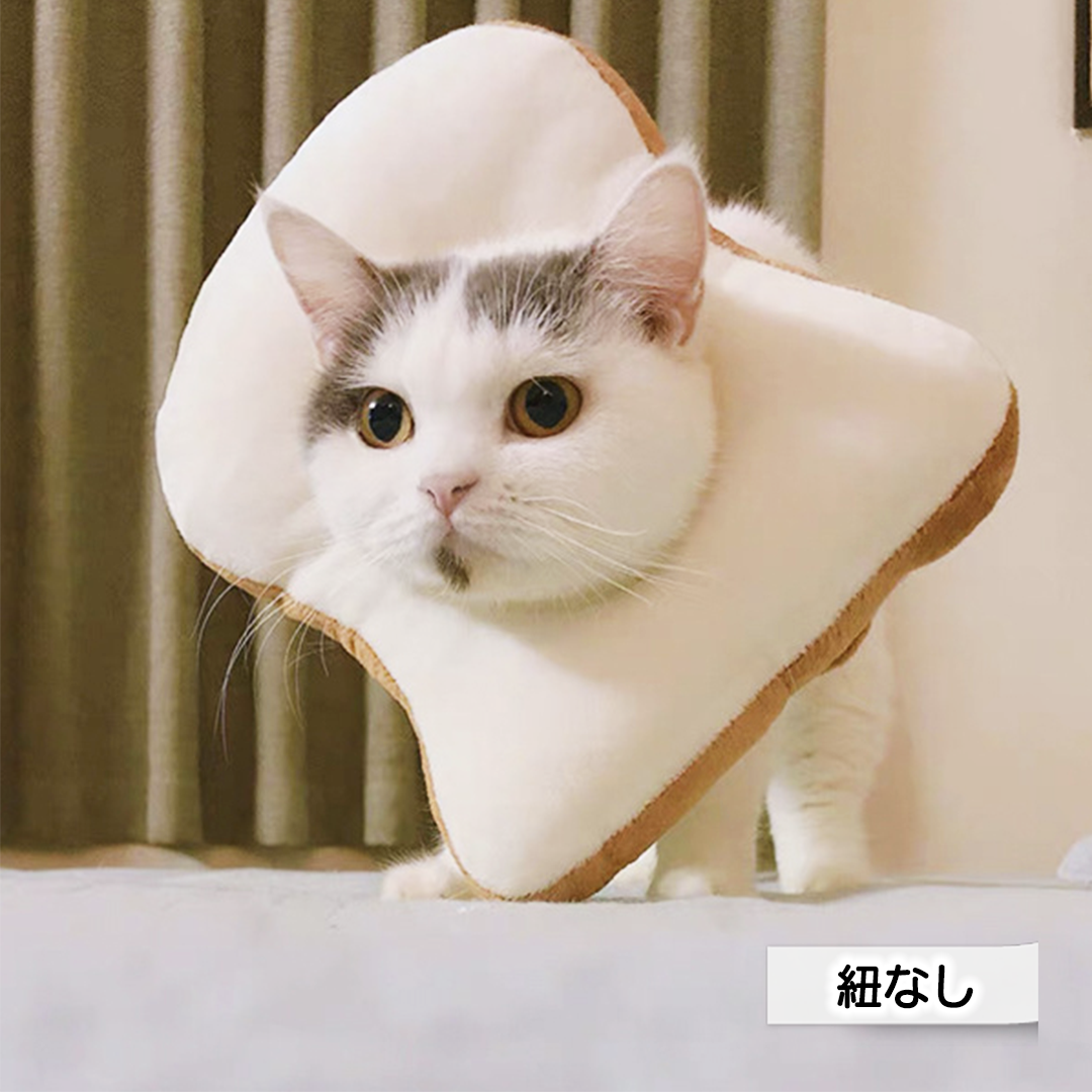 食パンエリザベスカラー 2162
