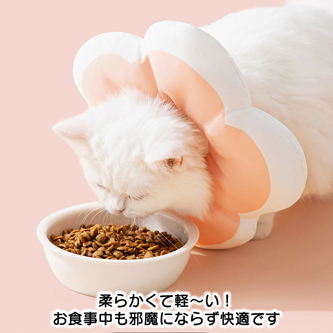 ふんわりお花のエリザベスカラー 2164