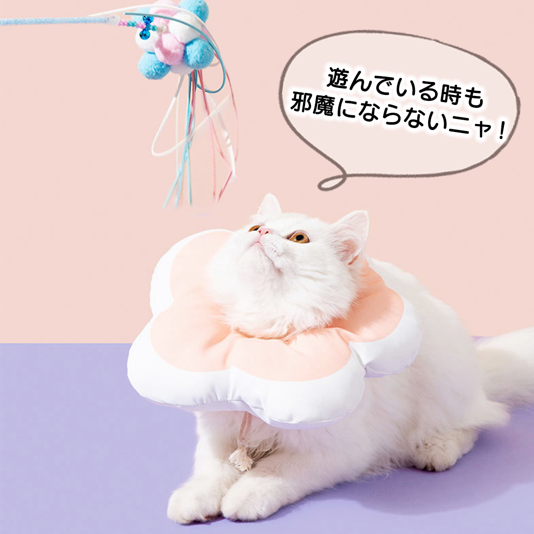 ふんわりお花のエリザベスカラー 2164