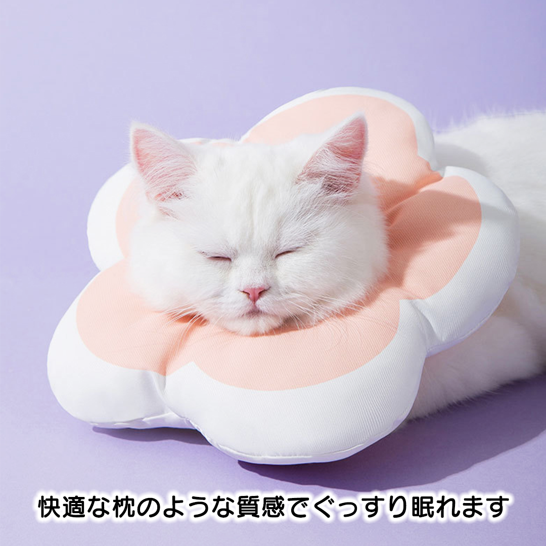 ふんわりお花のエリザベスカラー 2164