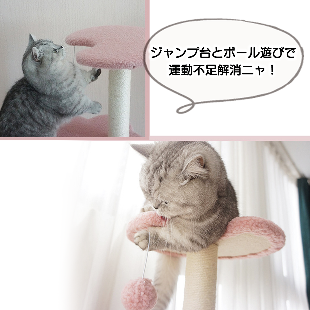 もくもくクラウドキャットタワー 2171