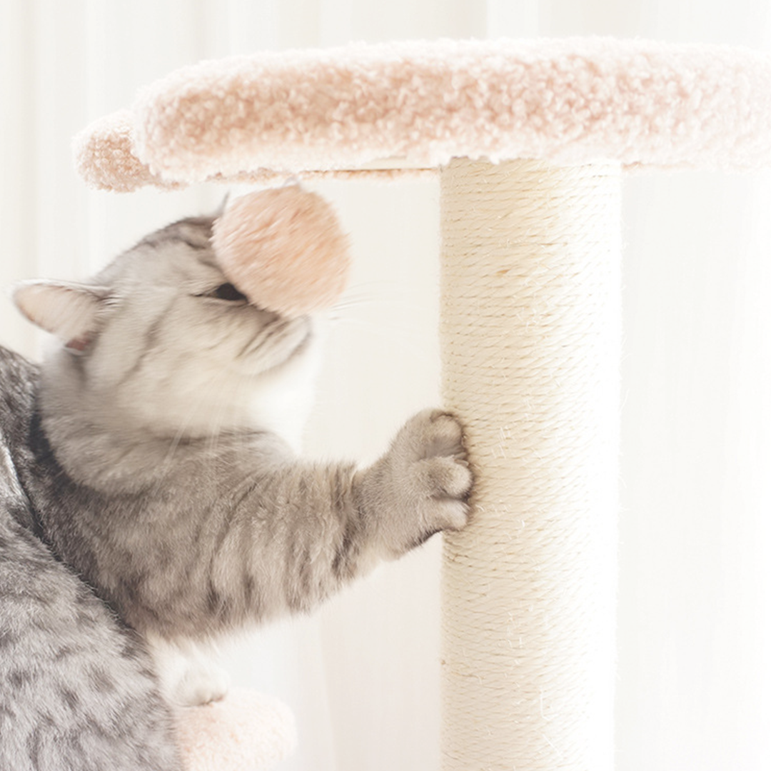 もくもくクラウドキャットタワー 2171