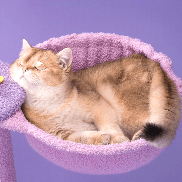 クラウドドリームキャットタワー 2076