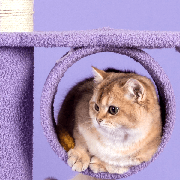 クラウドドリームキャットタワー 2076